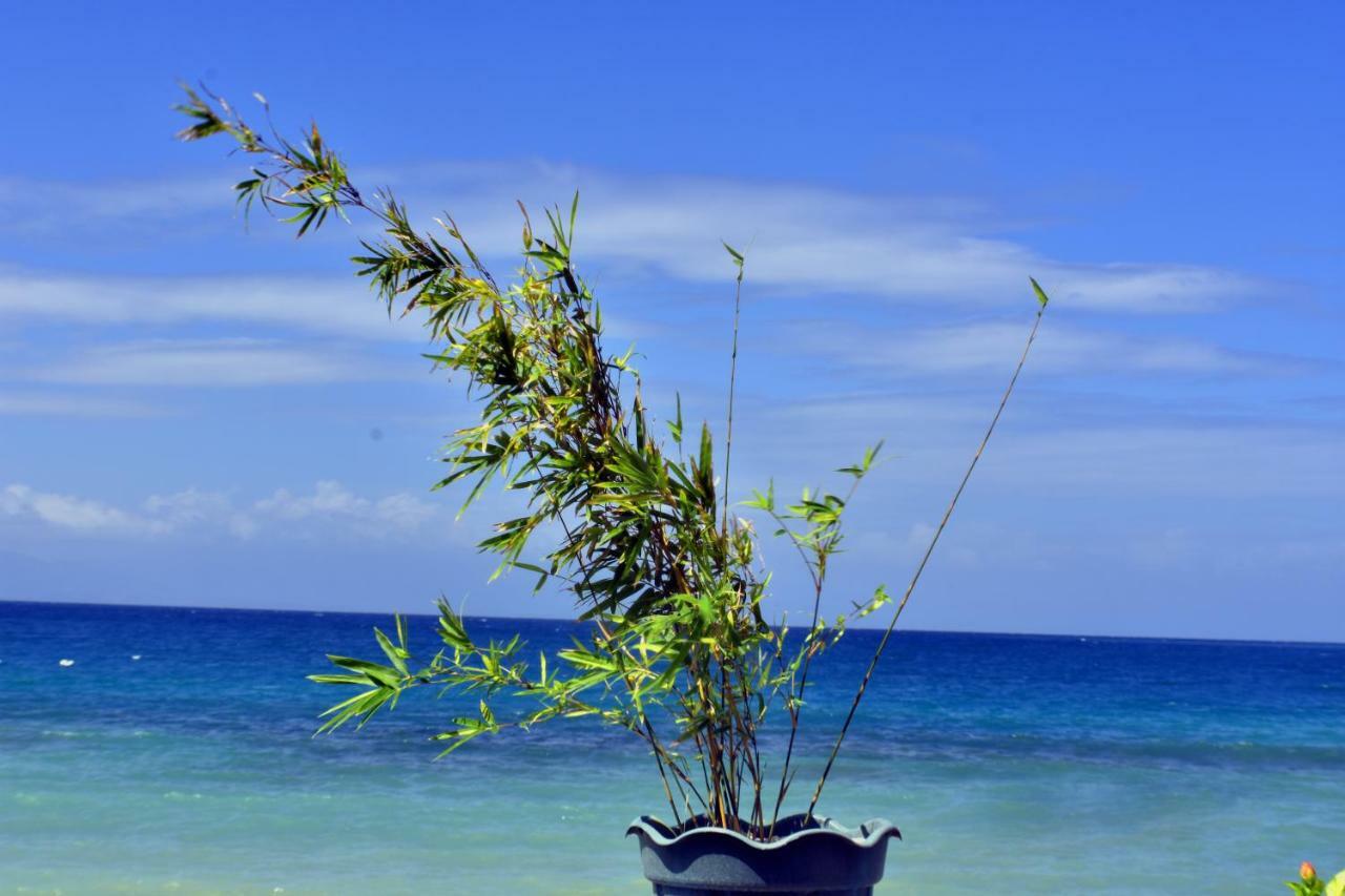 Mlk Bamboo Beachhouse Alegria Kültér fotó
